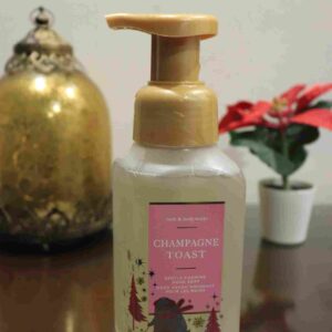 CHAMPAGNE TOAST (Hand Wash)
